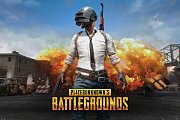 Playerunknown\'s Battlegrounds Poster 61 x 91 cm Display (35)