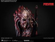 Predator Bust 1/1 Kagero Predator 64 cm