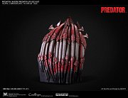 Predator Bust 1/1 Kagero Predator 64 cm