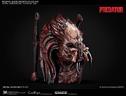 Predator Bust 1/1 Kagero Predator 64 cm