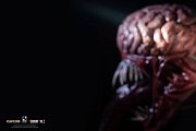 Resident Evil Life-Size Bust 1/1 Licker 50 cm