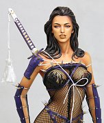 Socha Lady Ninja Web Exclusive (Hajime Sorayama)