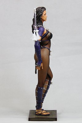 Socha Lady Ninja Web Exclusive (Hajime Sorayama)