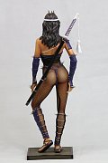 Socha Lady Ninja Web Exclusive (Hajime Sorayama)