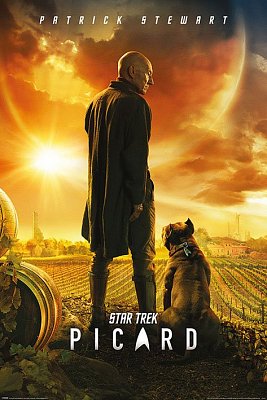 Star Trek: Picard Poster Pack Picard Number One 61 x 91 cm (5)