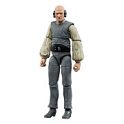 Star Wars Episode VI 40th Anniversary Black Series Action Figure Paploo 15 cm