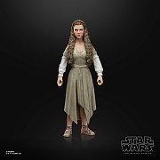 Star Wars Episode VI Black Series Action Figure 2022 Princess Leia (Ewok Village) 15 cm