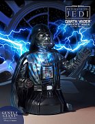 Star Wars Episode VI Bust 1/6 Darth Vader Emperor\'s Wrath 17 cm