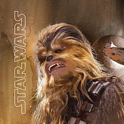 Star Wars Epizoda VII Polštářek Síla se probouzí