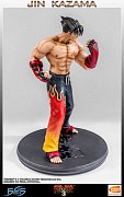 Tekken 3 Statue 1/4 Jin Kazama 48 cm