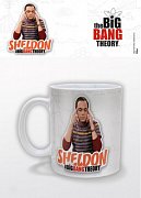 Teorie velkého třesku Hrnek Sheldon