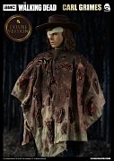 The Walking Dead Action Figure 1/6 Carl Grimes Deluxe Version 29 cm