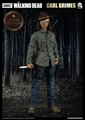 The Walking Dead Action Figure 1/6 Carl Grimes Deluxe Version 29 cm