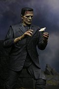 Sběratelská akční figurka Universal Monsters Ultimate Frankenstein's Monster (barevné) 18 cm