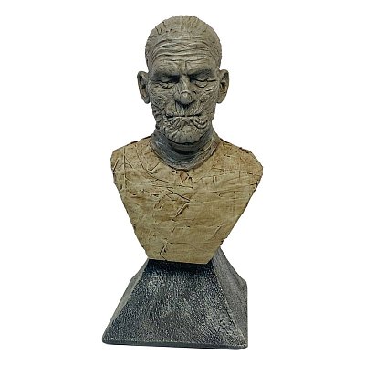 Univerzální Monsters Mini Busta Mumie 15 cm