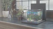 X-base Wireless LED Lighting and Display System