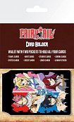 Fairy tail card holders quad case (5)