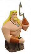Justice league animated bust aquaman 19 cm --- damaged packaging