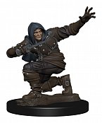 Pathfinder battles premium miniature pre-painted human rogue male case (6)